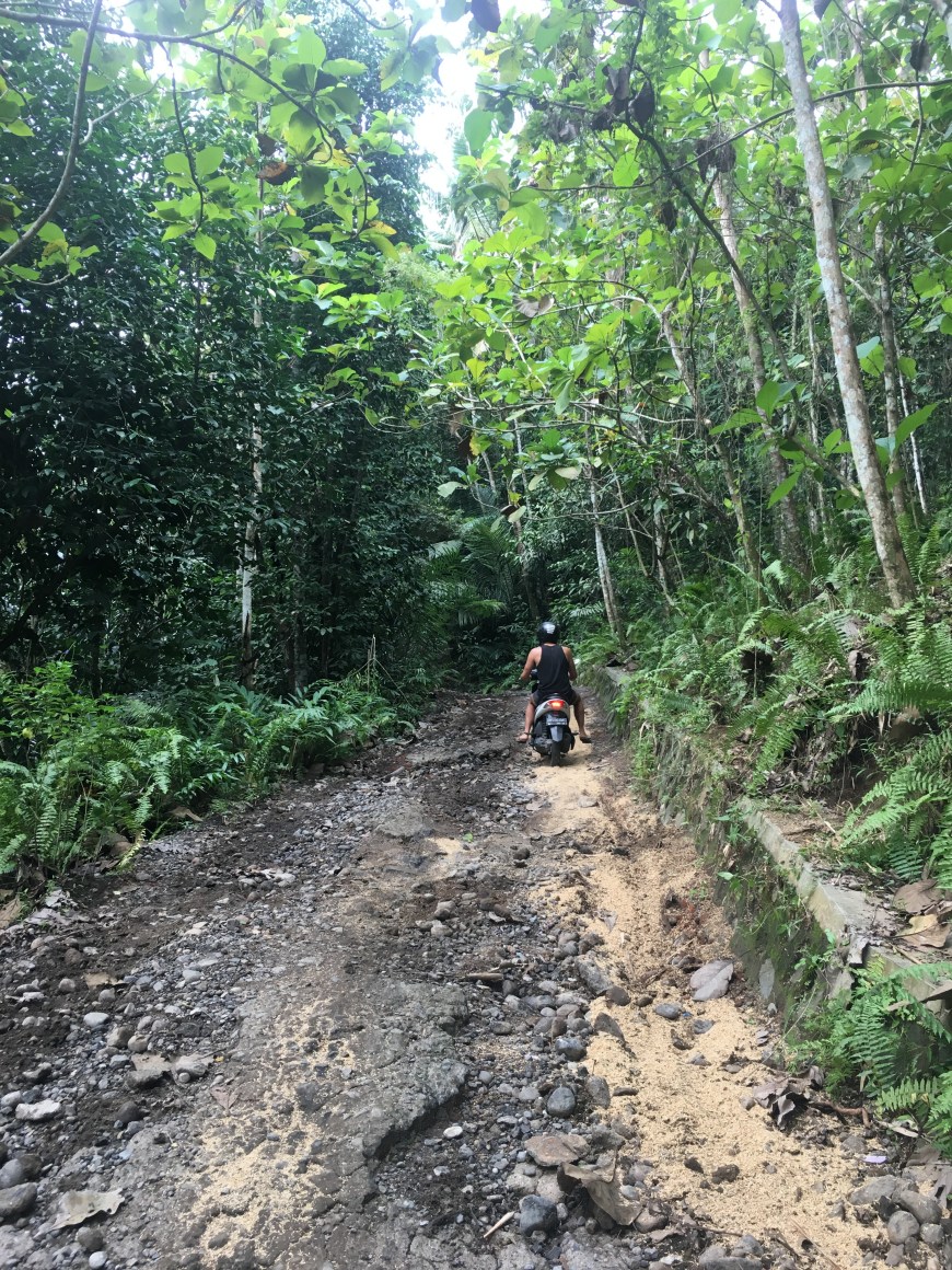 Bumpy ride up the road towards the waterfall, it only got bumpier from here