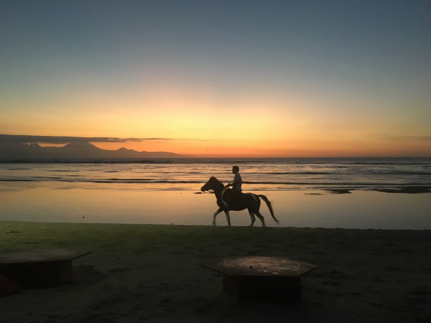 Horse galloping along the beach at sunset on Gili T