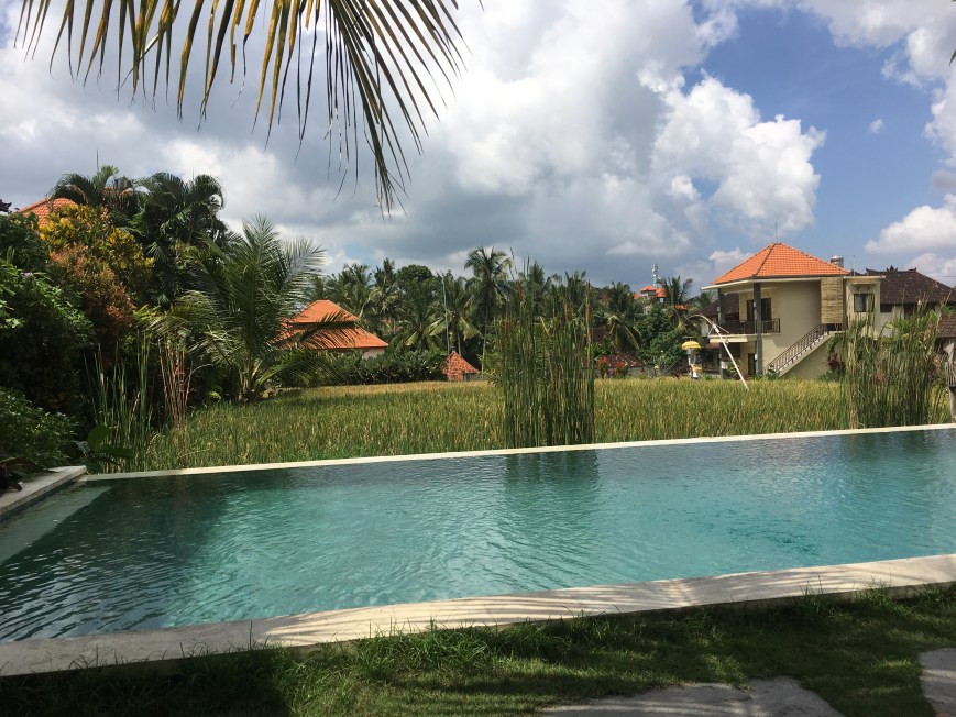 Pool At Puji Bungalow Hostel in Ubud Bali