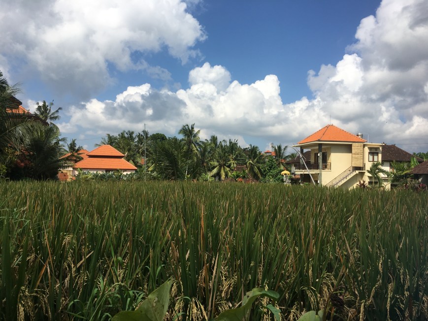 Ubud Village
