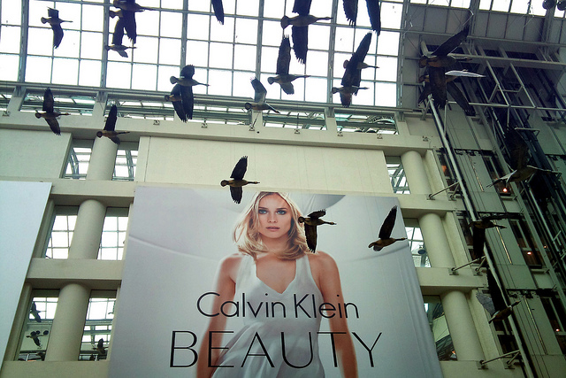 Calvin Klein Billboard depicting what beauty is