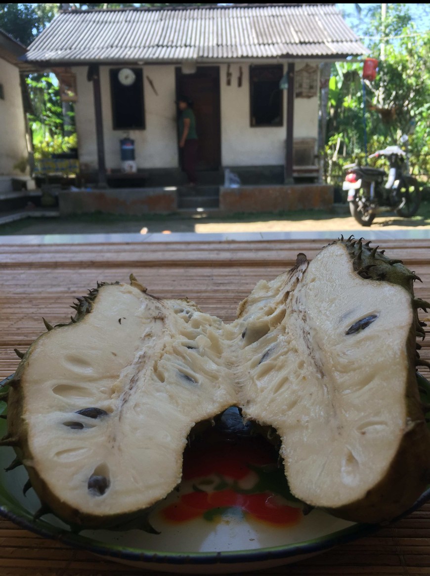 Trying new fruits and being welcomed into Nyonman's (Remy's Cousin) home for a day spent exploring Bangli, Bali