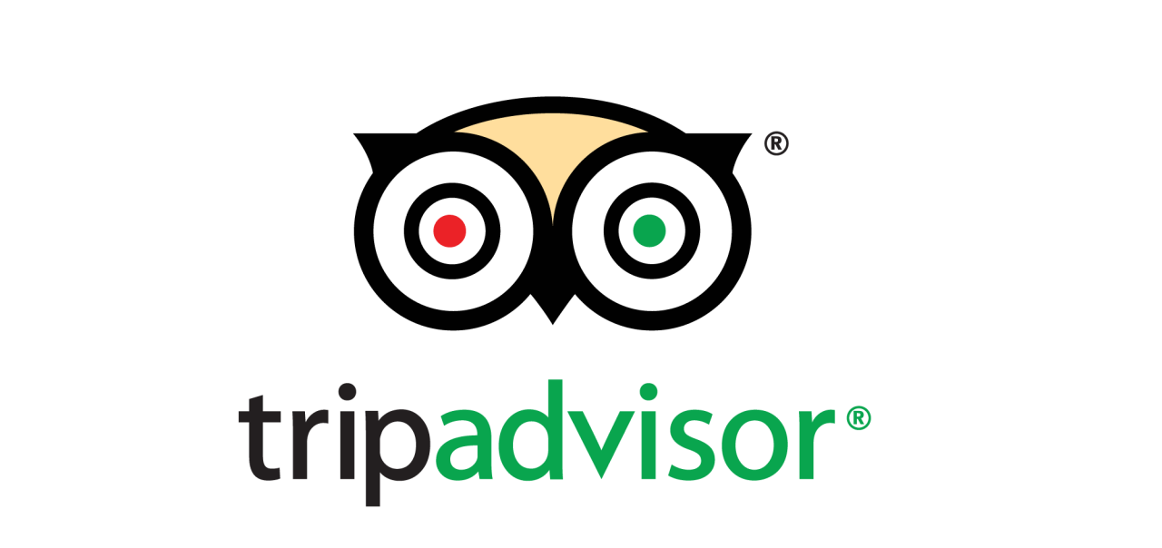 Logo for tripadvisor on free resources page