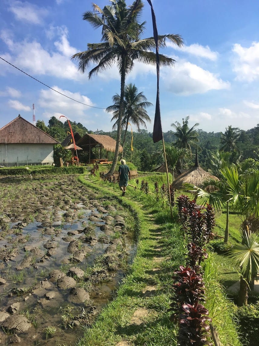 Path leading to the main temple path at Pura Gunung kawi