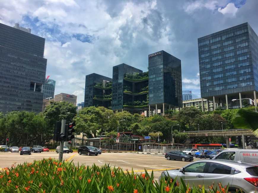 City streets covered in cars with three skyscrapers with jungles growing out of them