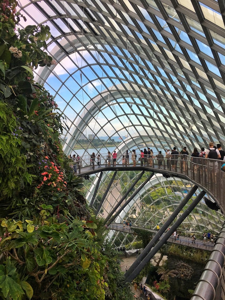 People standing on a raised walkway inside the glass-walled cloud conservatory