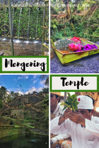 Pin this graphic for your next adventure to Bali