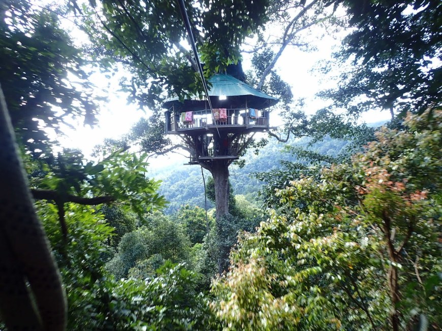 Treehouse suspended in the tree canopy of the jungle in Northern Laos as part of the Gibbon Experience